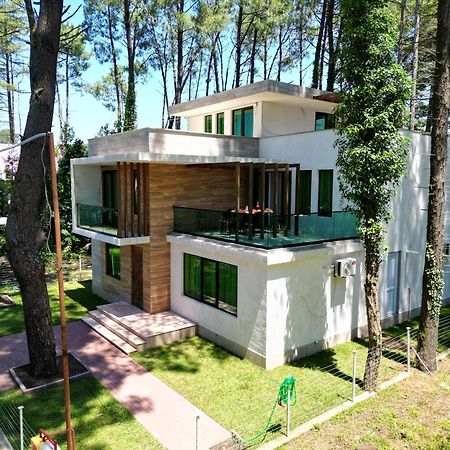 Pine Aparthotel 谢赫维蒂利 外观 照片
