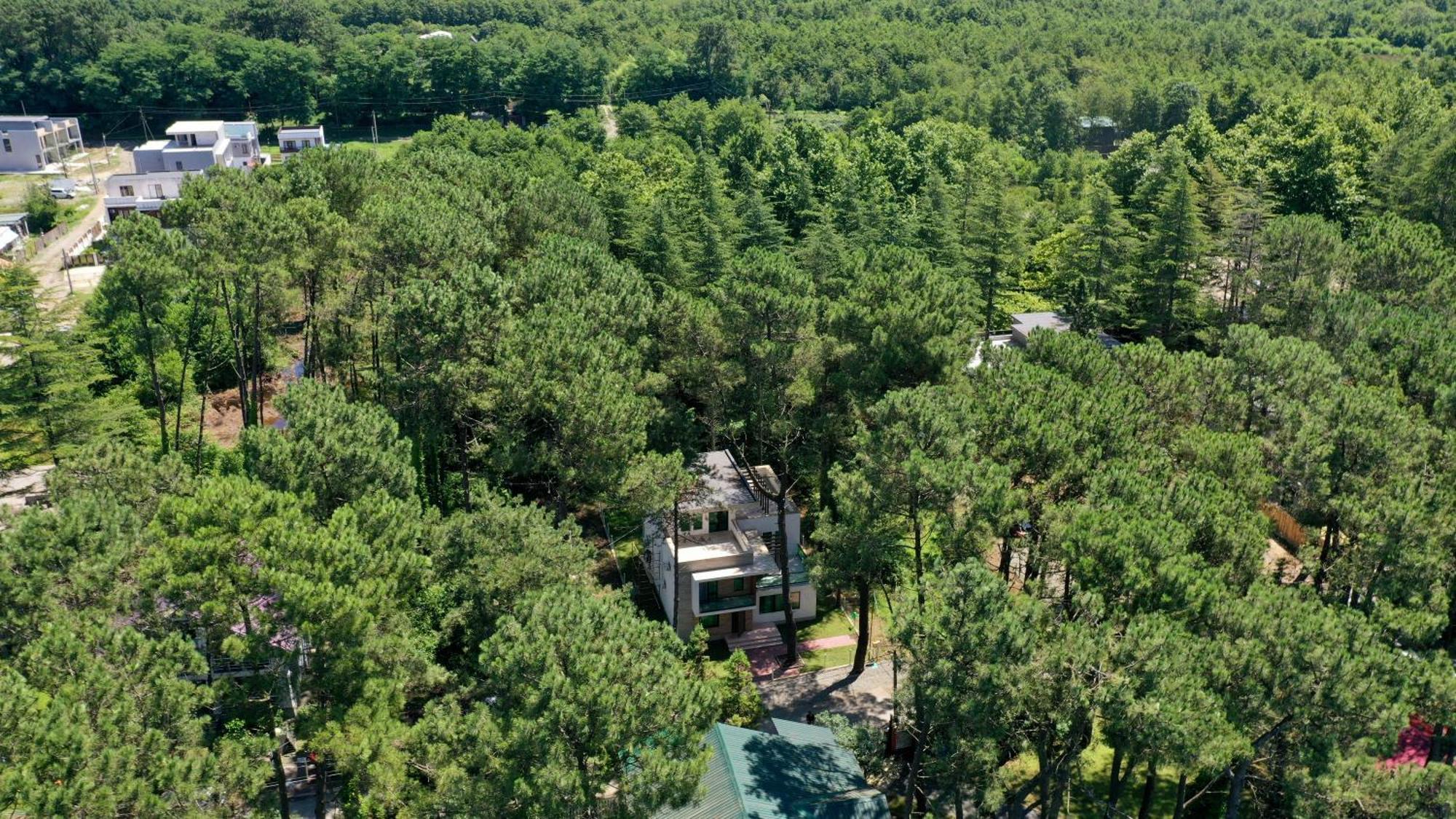 Pine Aparthotel 谢赫维蒂利 外观 照片