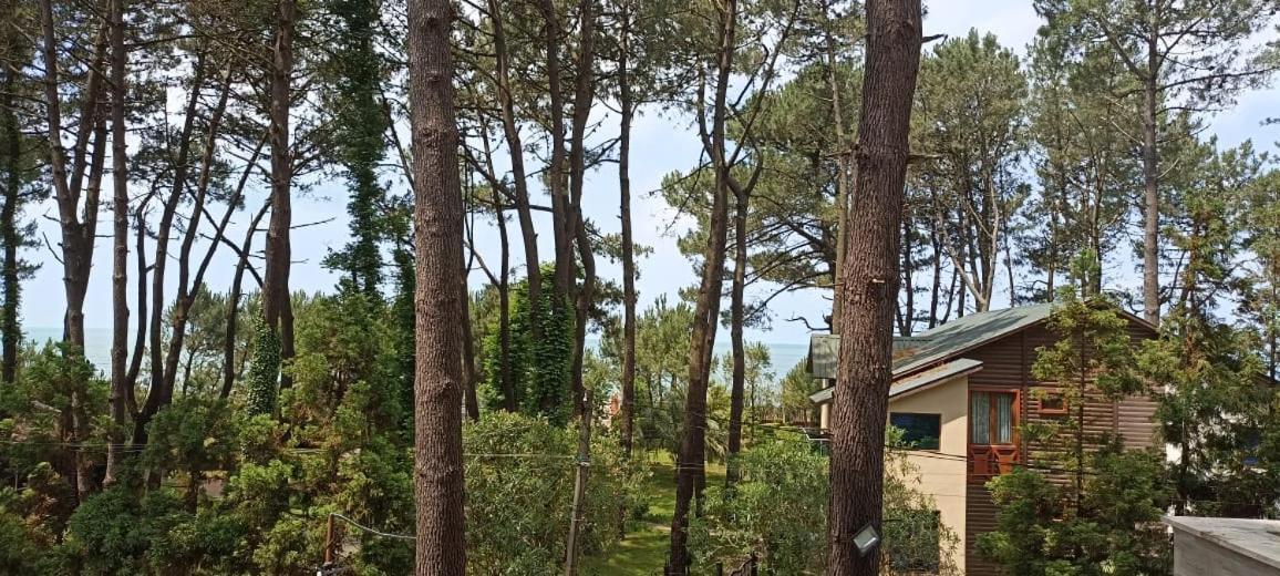 Pine Aparthotel 谢赫维蒂利 外观 照片